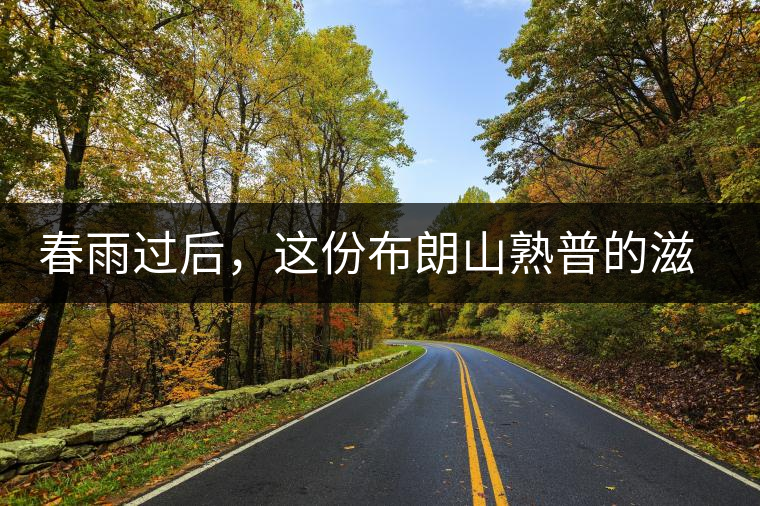 春雨過后，這份布朗山熟普的滋味正當(dāng)時(shí)