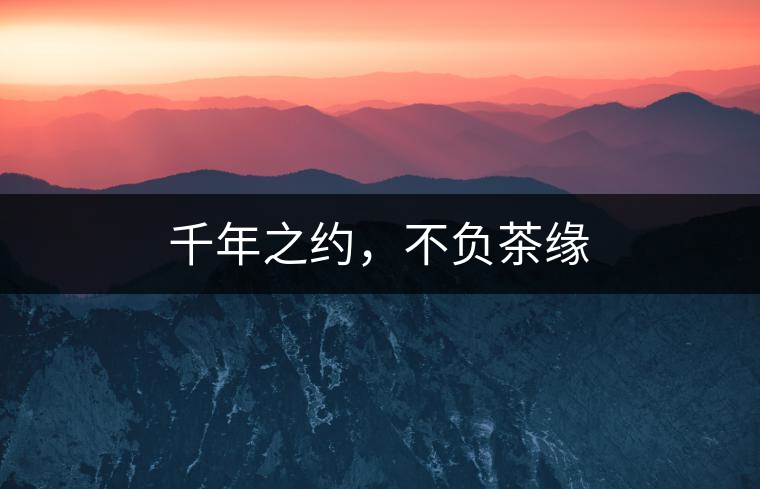 千年之約，不負(fù)茶緣