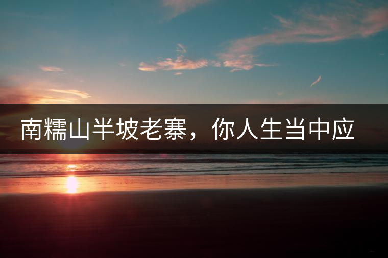 南糯山半坡老寨，你人生當中應(yīng)該入手的第一片勐海味古樹純料普洱茶