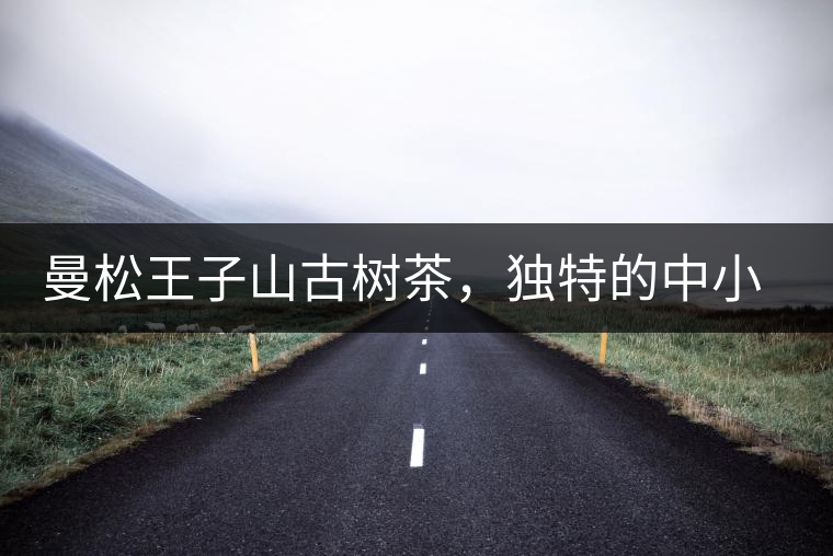 曼松王子山古樹茶，獨特的中小葉種珍品貢茶