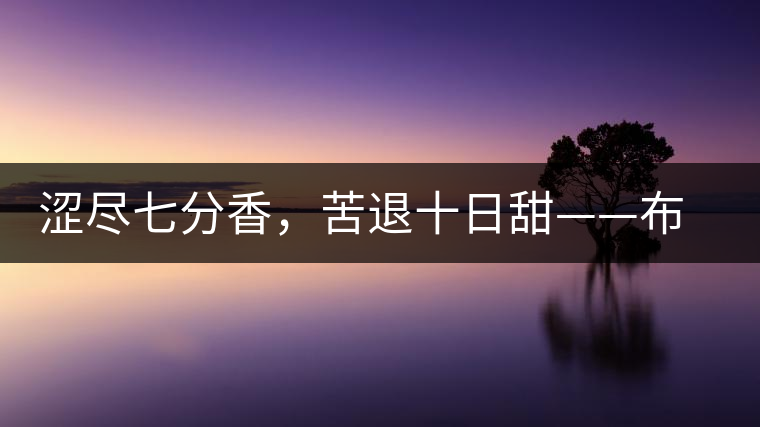 澀盡七分香，苦退十日甜——布朗山千年古寨曼新龍