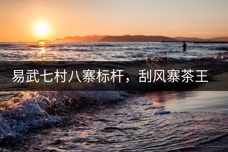 易武七村八寨標(biāo)桿，刮風(fēng)寨茶王樹介紹