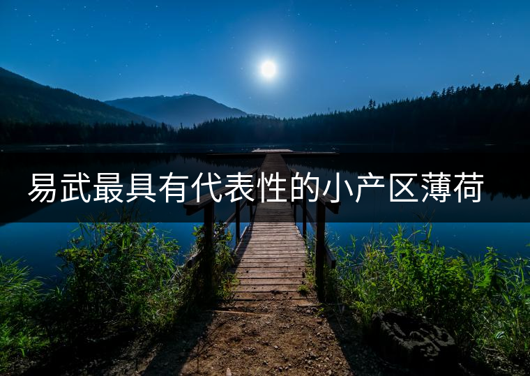易武最具有代表性的小產(chǎn)區(qū)薄荷塘，一滴都不舍得浪費(fèi)