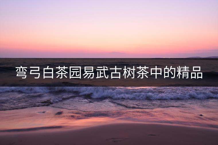 彎弓白茶園易武古樹茶中的精品 彎弓白茶園易武古樹茶中的精品