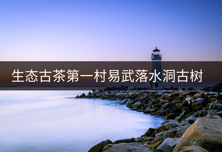 生態(tài)古茶第一村易武落水洞古樹茶 生態(tài)古茶第一村易武落水洞古樹茶