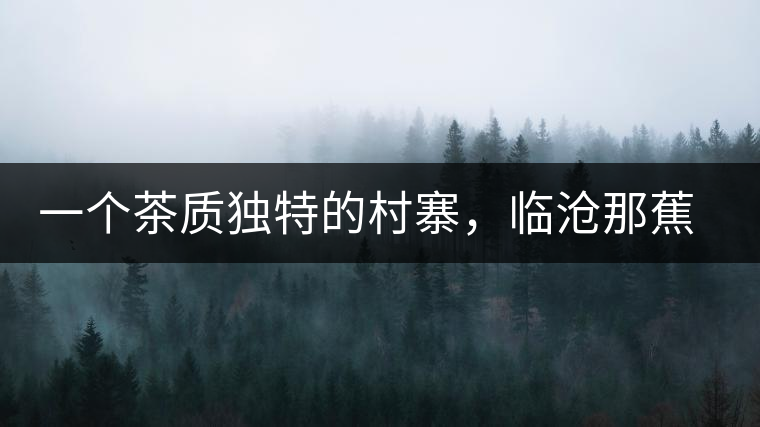 一個(gè)茶質(zhì)獨(dú)特的村寨，臨滄那蕉古樹茶介紹