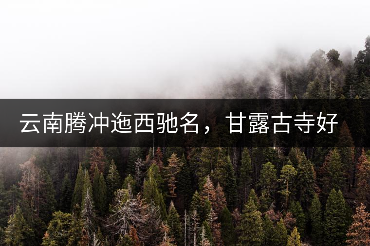 云南騰沖迤西馳名，甘露古寺好茶