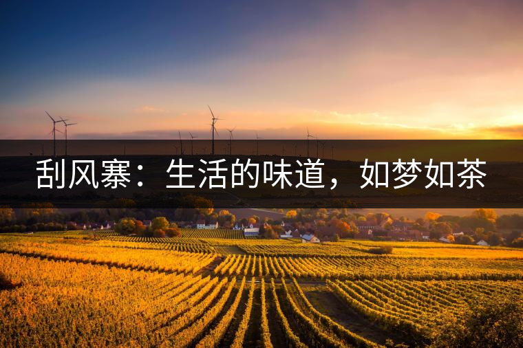 刮風(fēng)寨：生活的味道，如夢(mèng)如茶