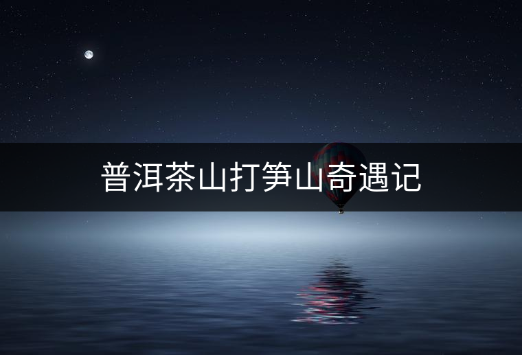 普洱茶山打筍山奇遇記