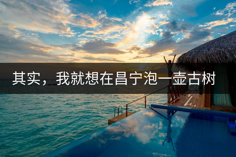 其實(shí)，我就想在昌寧泡一壺古樹茶