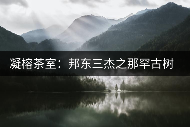 凝榕茶室：邦東三杰之那罕古樹(shù)生普