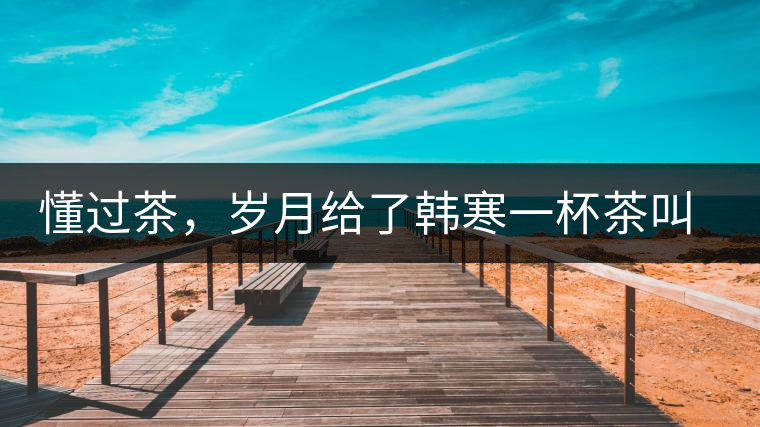 懂過茶，歲月給了韓寒一杯茶叫懂過