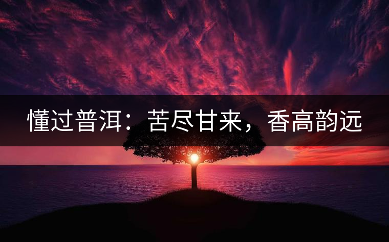 懂過普洱：苦盡甘來，香高韻遠(yuǎn)