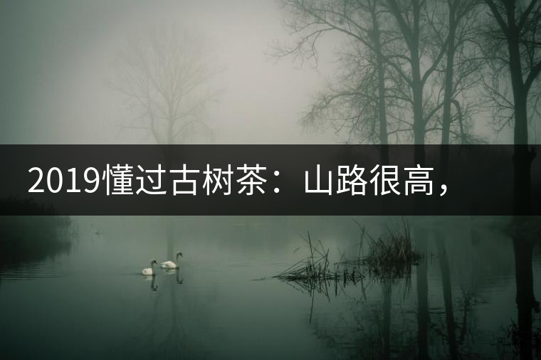 2019懂過古樹茶：山路很高，可仍然有執(zhí)著走向深山的人