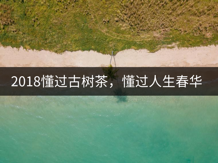 2018懂過古樹茶，懂過人生春華秋實！