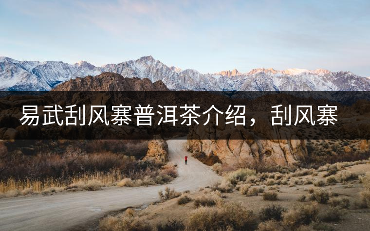 易武刮風寨普洱茶介紹，刮風寨古樹茶口感特點