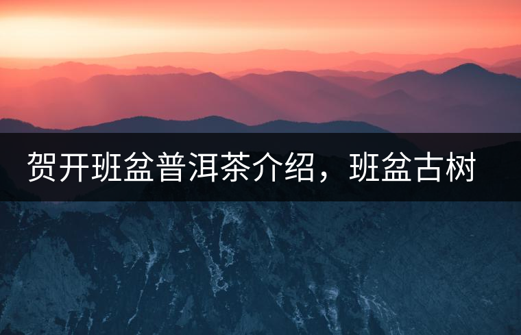 賀開班盆普洱茶介紹，班盆古樹茶口感特點(diǎn)