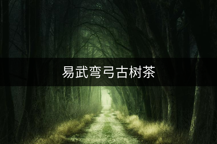 易武彎弓古樹(shù)茶 易武彎弓古樹(shù)茶