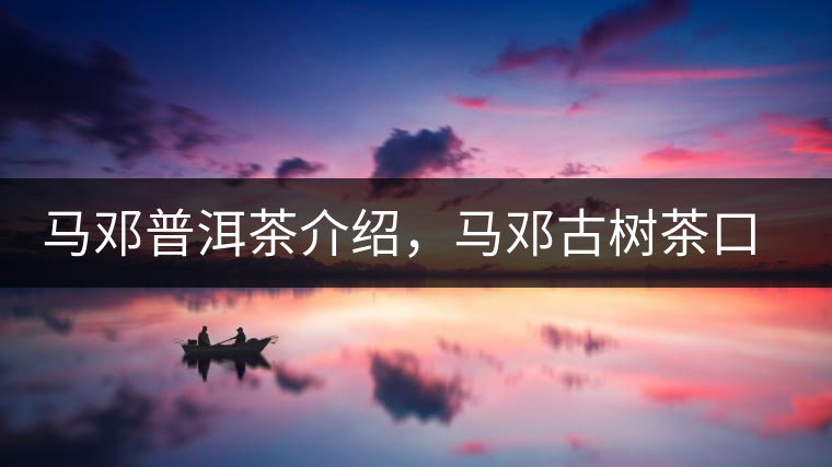馬鄧普洱茶介紹，馬鄧古樹茶口感特點