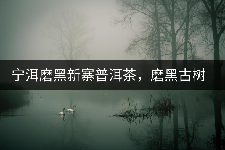 寧洱磨黑新寨普洱茶，磨黑古樹茶口感特點