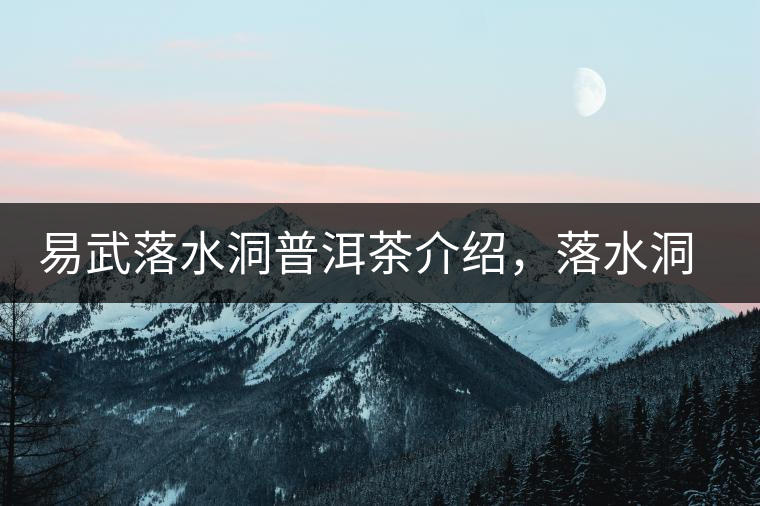 易武落水洞普洱茶介紹，落水洞古樹(shù)茶口感特點(diǎn)