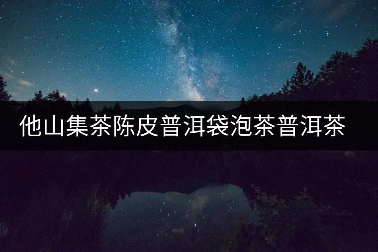 他山集茶陳皮普洱袋泡茶普洱茶熟茶陳皮柑橘黑茶葉冷泡三角茶包 他山集茶陳皮普洱袋泡茶普洱茶熟茶陳皮柑橘黑茶葉冷泡三角茶包