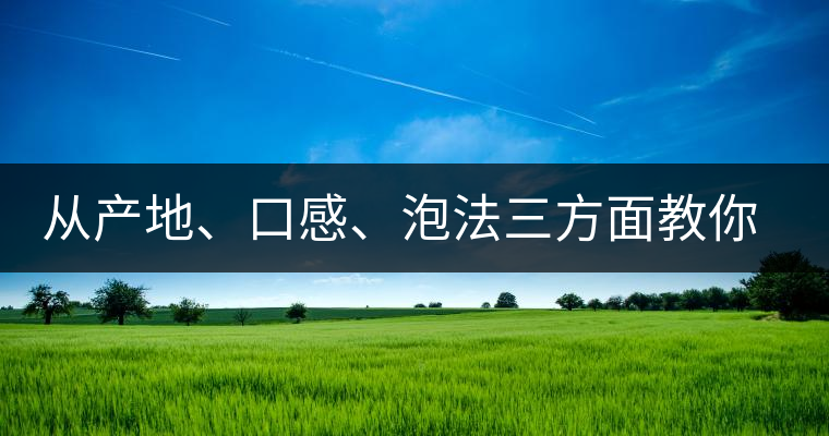 從產(chǎn)地、口感、泡法三方面教你吃透古域小戶賽！