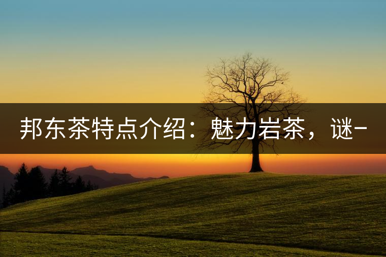 邦東茶特點(diǎn)介紹：魅力巖茶，謎一樣的邦東！