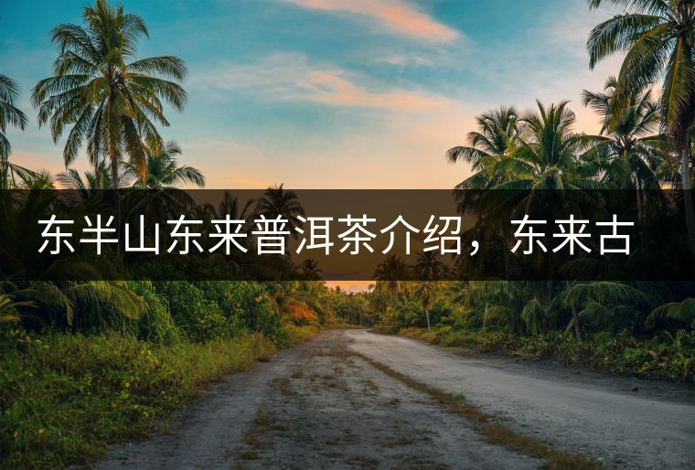 東半山東來(lái)普洱茶介紹，東來(lái)古樹(shù)茶口感特點(diǎn)