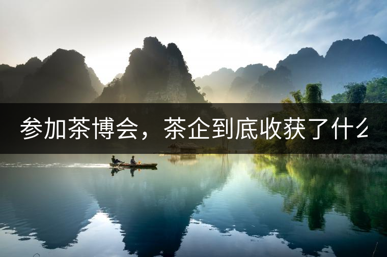 參加茶博會(huì)，茶企到底收獲了什么？