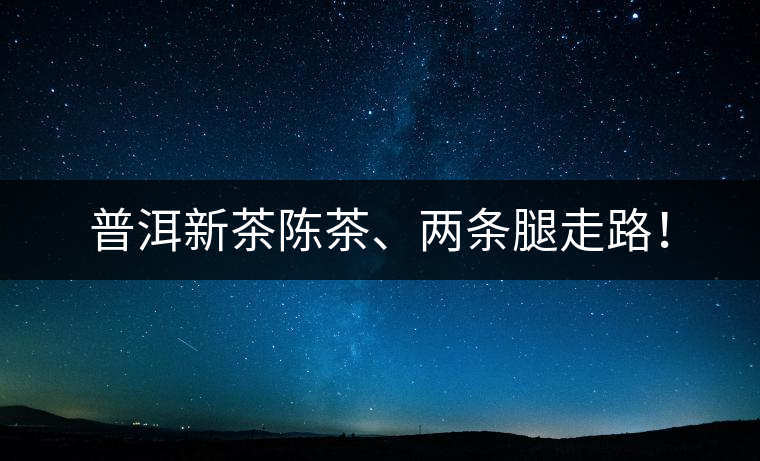 普洱新茶陳茶、兩條腿走路！