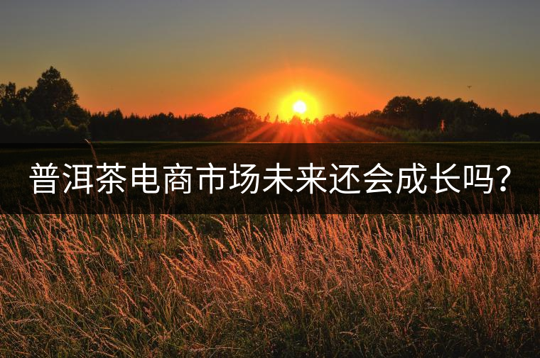 普洱茶電商市場未來還會成長嗎? 普洱茶電商市場未來還會成長嗎?
