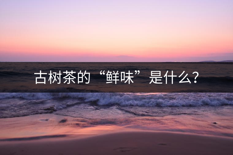古樹茶的“鮮味”是什么？