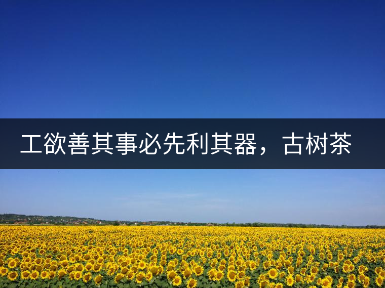 工欲善其事必先利其器，古樹茶用什么茶器最好？