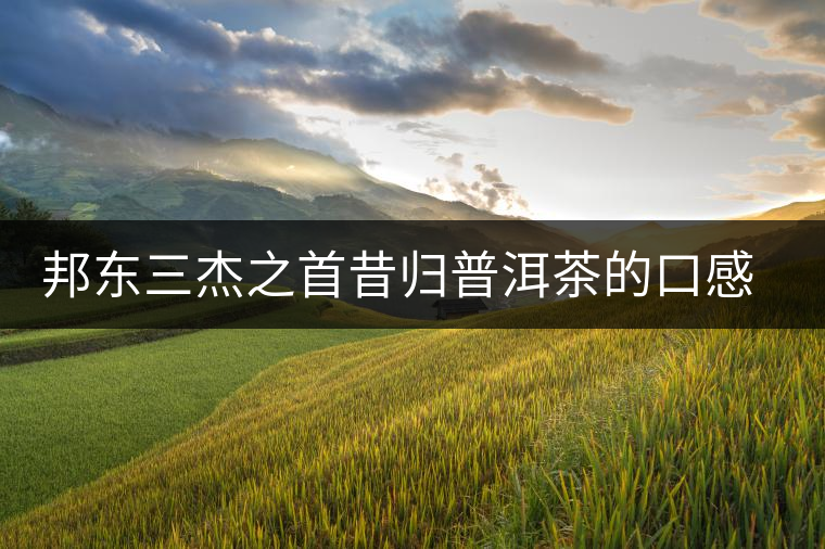 邦東三杰之首昔歸普洱茶的口感特點(diǎn) 邦東三杰之首昔歸普洱茶的口感特點(diǎn)