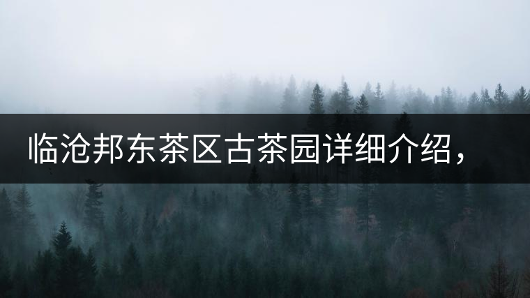 臨滄邦東茶區(qū)古茶園詳細介紹，邦東古樹茶特點