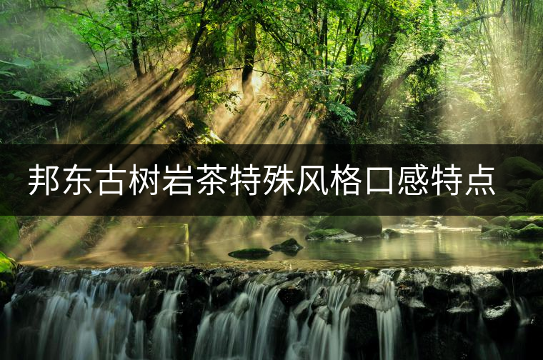 邦東古樹巖茶特殊風(fēng)格口感特點(diǎn)的原因 邦東古樹巖茶特殊風(fēng)格口感特點(diǎn)的原因