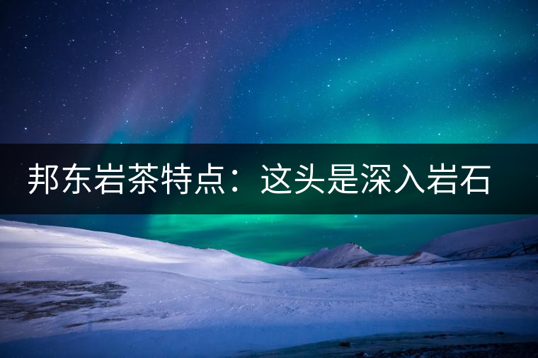 邦東巖茶特點：這頭是深入巖石的根，那頭是臨風(fēng)飄香的古韻
