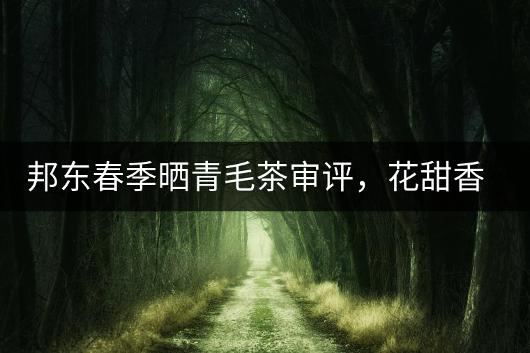 邦東春季曬青毛茶審評，花甜香高揚甘爽潤滑