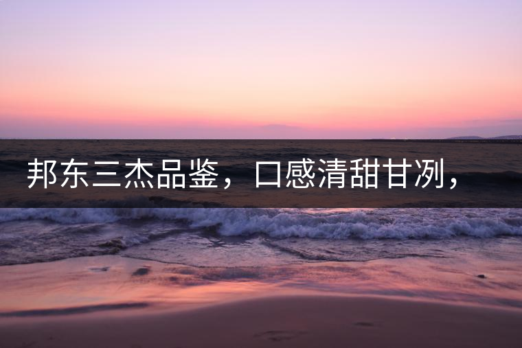 邦東三杰品鑒，口感清甜甘冽，香氣富于變化