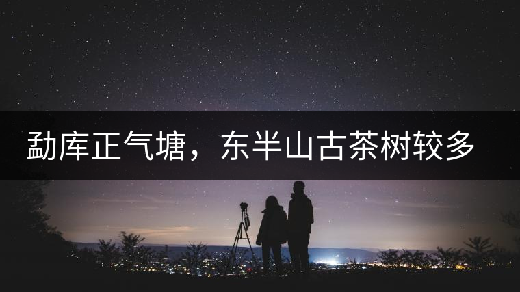 勐庫正氣塘，東半山古茶樹較多的寨子