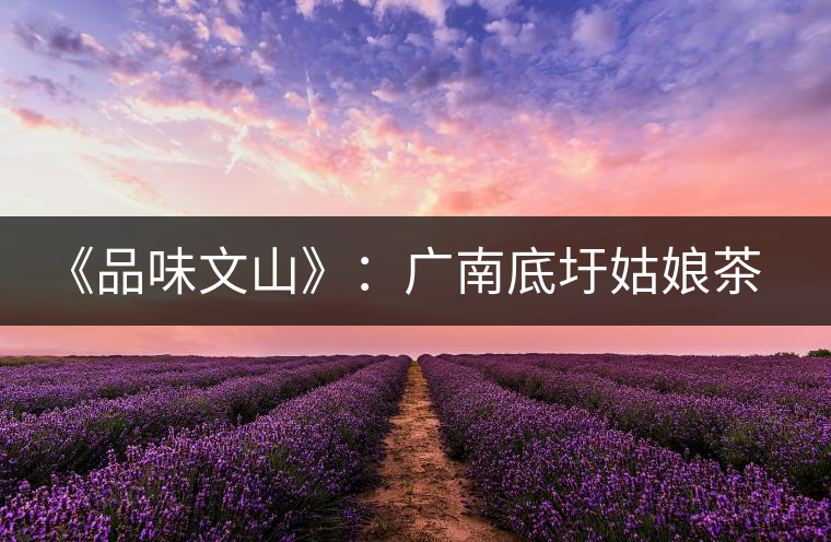 《品味文山》:廣南底圩姑娘茶 《品味文山》:廣南底圩姑娘茶