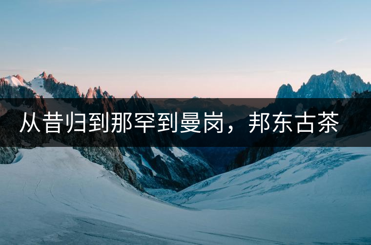 從昔歸到那罕到曼崗，邦東古茶藏著一條規(guī)律！