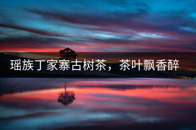 瑤族丁家寨古樹茶，茶葉飄香醉萬家