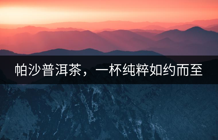 帕沙普洱茶，一杯純粹如約而至