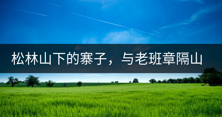 松林山下的寨子，與老班章隔山相望的廣別老寨
