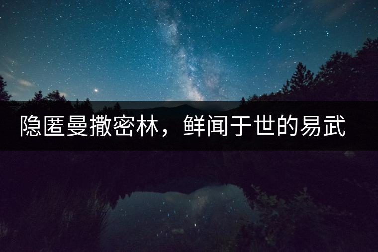 隱匿曼撒密林，鮮聞于世的易武一扇磨古樹茶