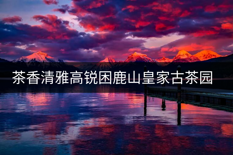 茶香清雅高銳困鹿山皇家古茶園春茶特點 茶香清雅高銳困鹿山皇家古茶園春茶特點