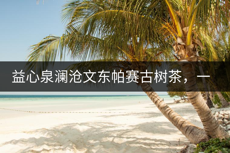 益心泉瀾滄文東帕賽古樹茶，一山茶兩岸香