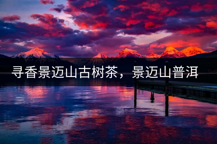 尋香景邁山古樹(shù)茶，景邁山普洱茶特點(diǎn)介紹